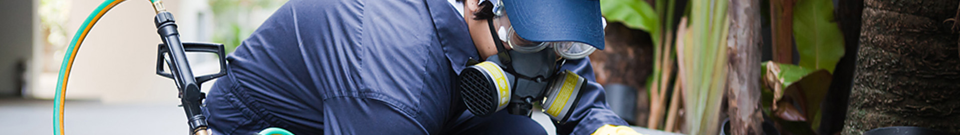 bugsquad_inner_slider