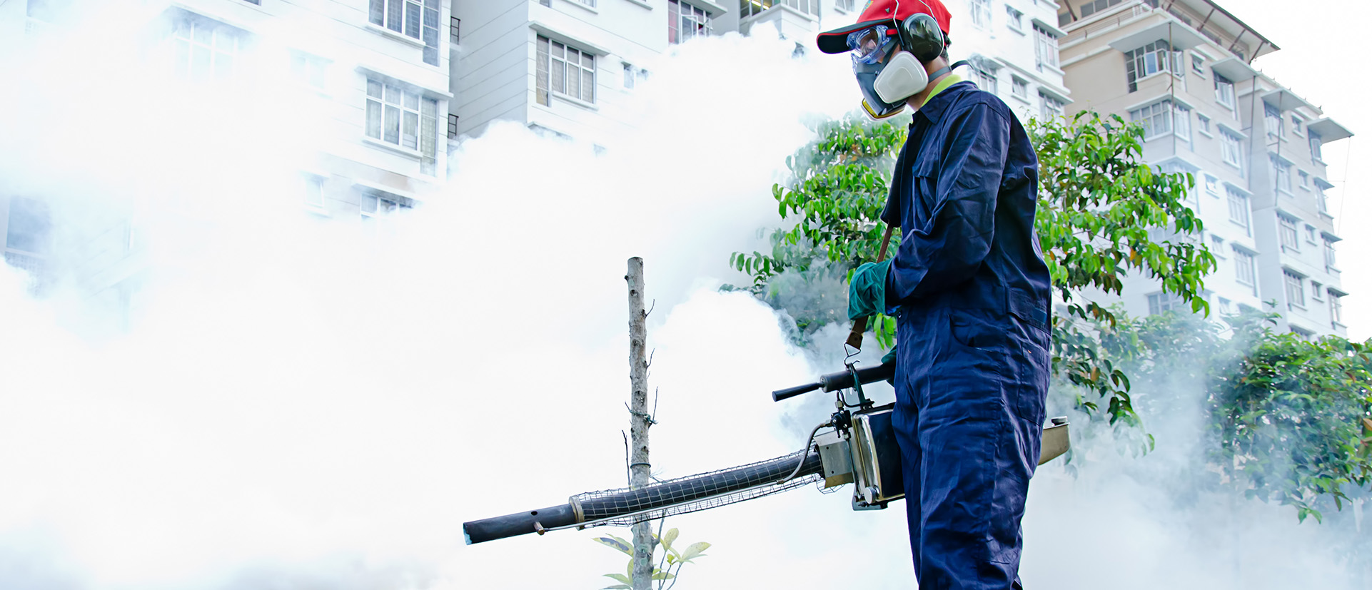 #slidecaption2 Pro-active and Cost Effective Pest Control.